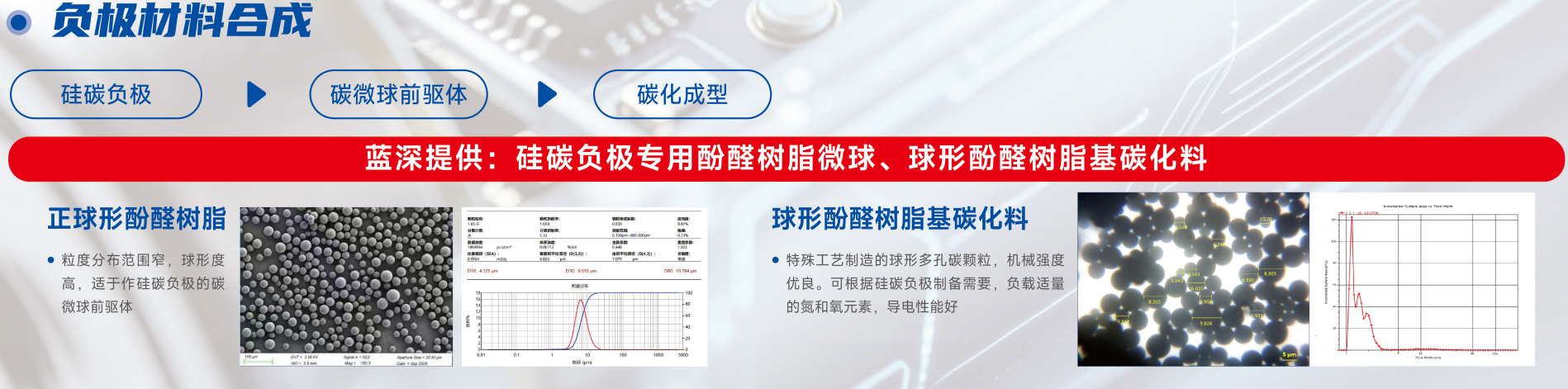 负极